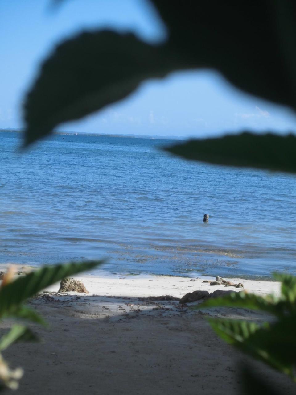 Faro Del Colibri Hotel Carenero ภายนอก รูปภาพ